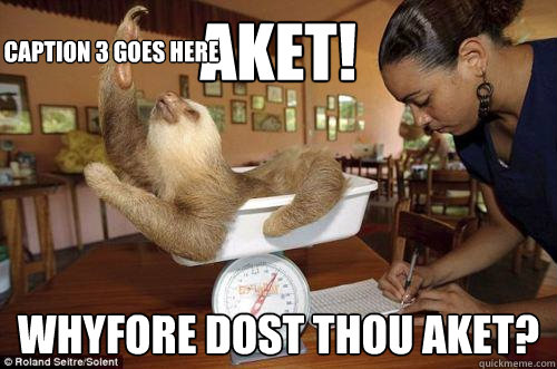 Aket! Whyfore dost thou Aket? Caption 3 goes here - Aket! Whyfore dost thou Aket? Caption 3 goes here  Dramatic Sloth