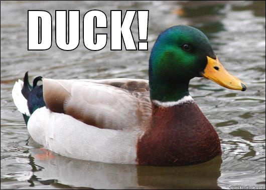 funny dammit - DUCK!           Actual Advice Mallard