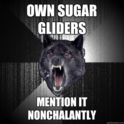 Own sugar gliders Mention it nonchalantly   Insanity Wolf