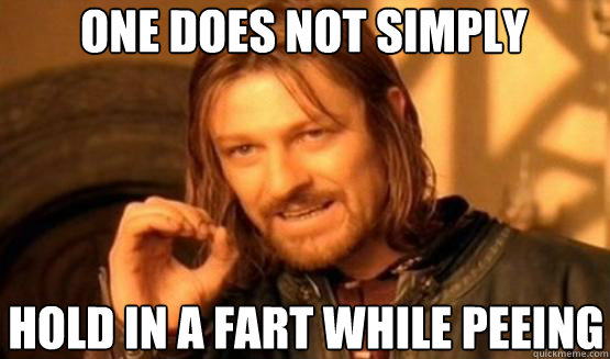 ONE DOES NOT SIMPLY HOLD IN A FART WHILE PEEING  