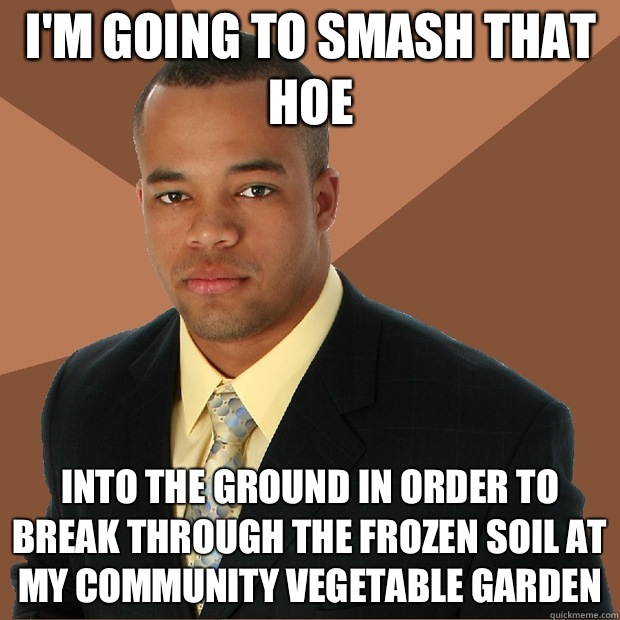 I'm going to smash that hoe into the ground in order to break through the frozen soil at my community vegetable garden  Successful Black Man