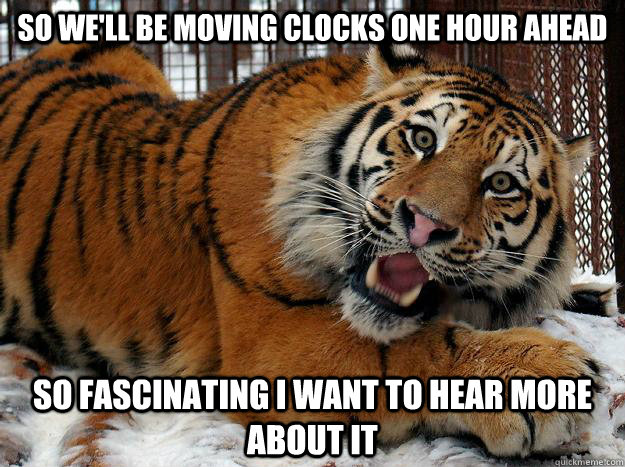 So we'll be moving clocks one hour AHEAD SO FASCINATING I WANT TO HEAR MORE ABOUT IT - So we'll be moving clocks one hour AHEAD SO FASCINATING I WANT TO HEAR MORE ABOUT IT  Fascinated Tiger