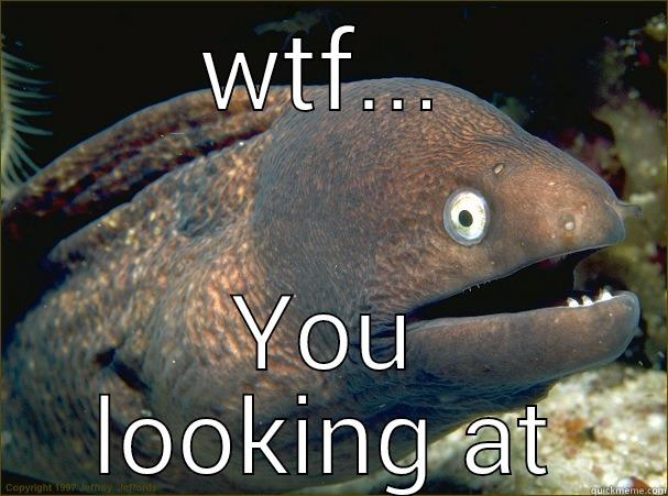 WTF... YOU LOOKING AT Bad Joke Eel