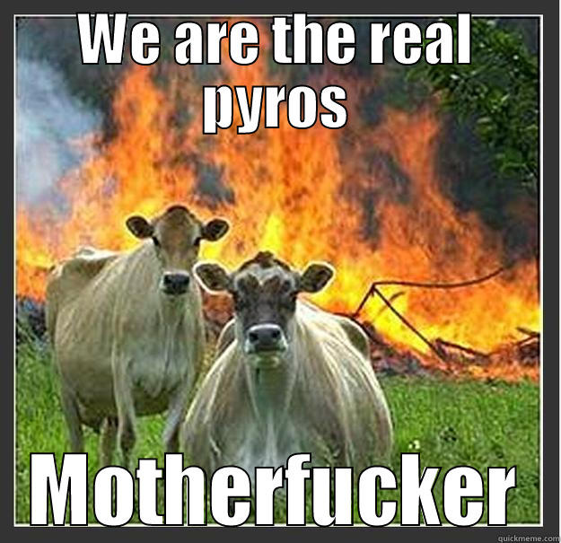 Pyro Tipping - WE ARE THE REAL PYROS MOTHERFUCKER Evil cows