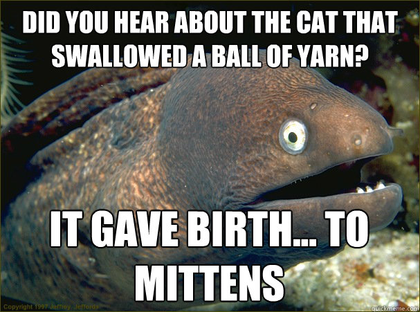 Did you hear about the cat that swallowed a ball of yarn? It gave birth... To Mittens  Bad Joke Eel