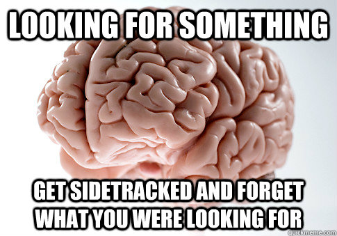 Looking for something get sidetracked and forget what you were looking for  Scumbag Brain