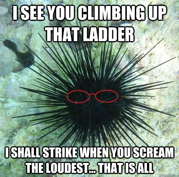 I see you climbing up that ladder I shall strike when you scream the loudest... That is all  Professor Sea Urchin