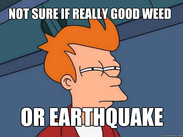 not sure if really good weed or earthquake  Futurama Fry