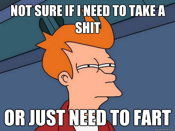 NOT SURE IF I NEED TO TAKE A SHIT OR JUST NEED TO FART  Futurama Fry