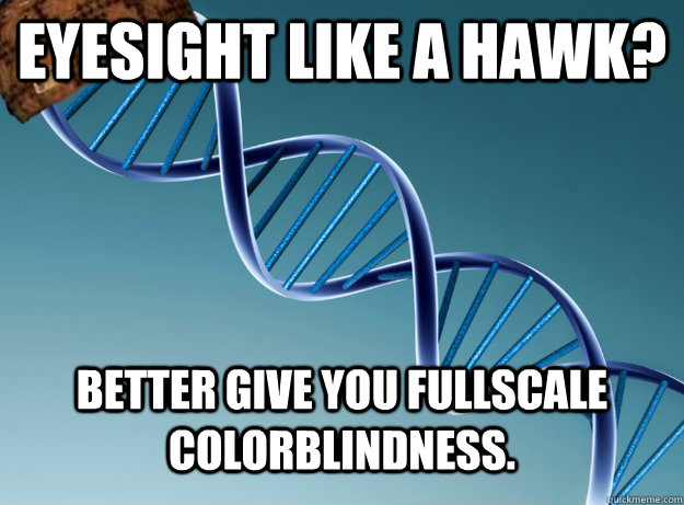 eyesight like a hawk? Better give you fullscale  colorblindness.  Scumbag Genetics