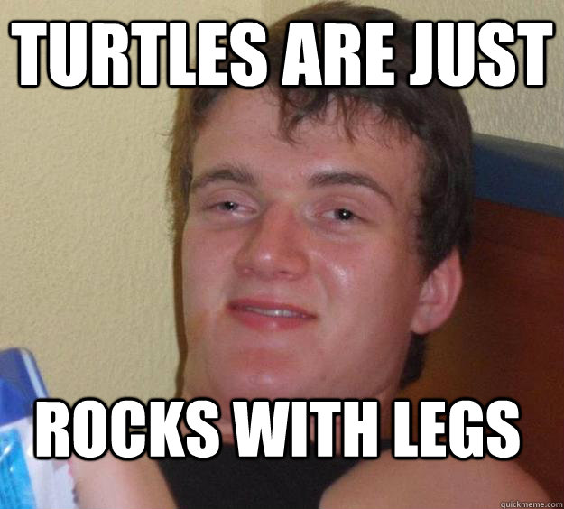 turtles are just rocks with legs - turtles are just rocks with legs  10 Guy