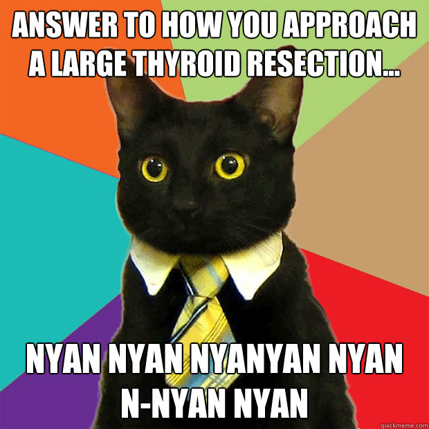 Answer to how you approach a large thyroid resection... Nyan nyan nyanyan nyan n-nyan nyan  Business Cat