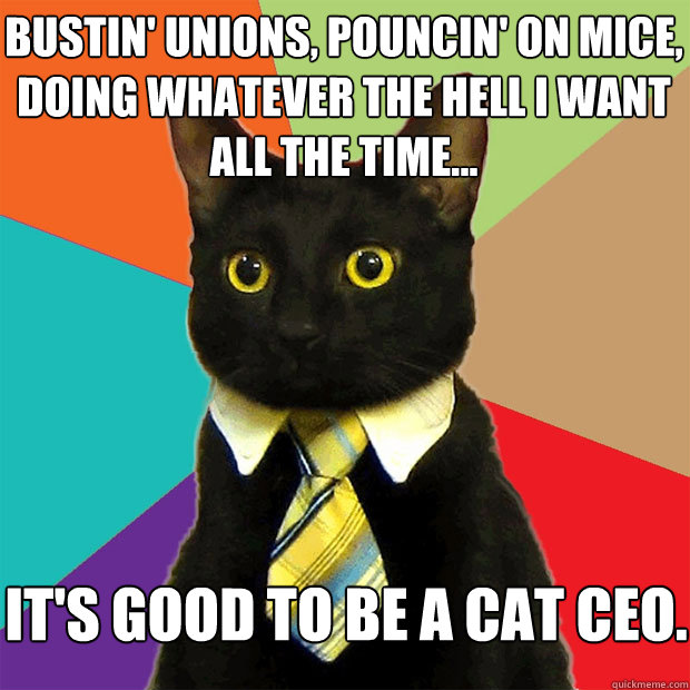 Bustin' Unions, pouncin' on mice, doing whatever the hell I want all the time... It's good to be a cat ceo.  Business Cat