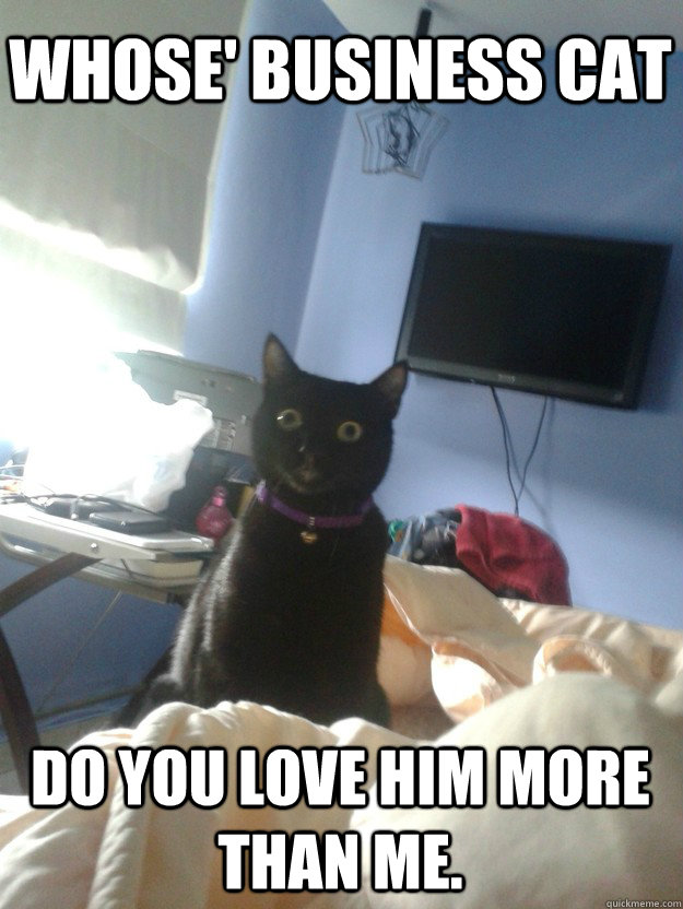 Whose' business cat  Do you love him more than me.   overly attached cat