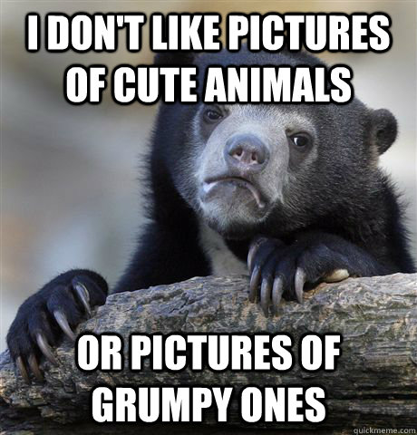 I don't like pictures of cute animals Or pictures of grumpy ones  Confession Bear