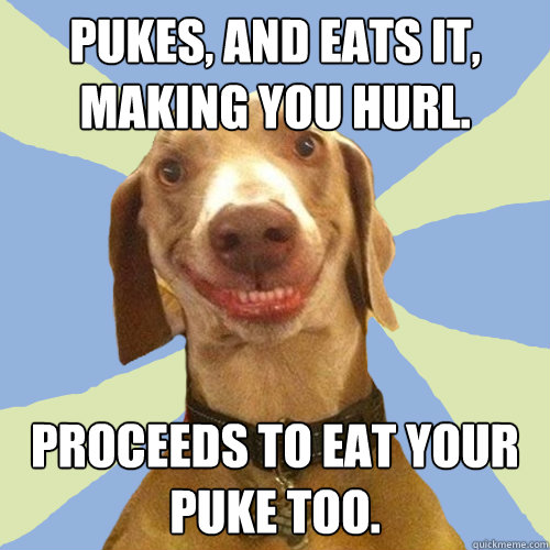 Pukes, and eats it, making you hurl. Proceeds to eat your puke too.  Disgusting Doggy