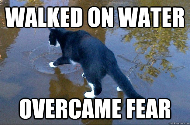 Walked on water Overcame fear - Walked on water Overcame fear  Jesus Cat