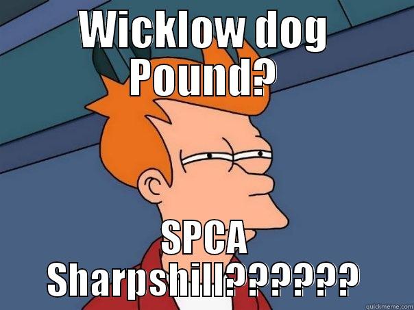 WICKLOW DOG POUND? SPCA SHARPSHILL?????? Futurama Fry