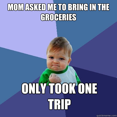 Mom asked me to bring in the groceries  Only took one 
Trip  Success Kid