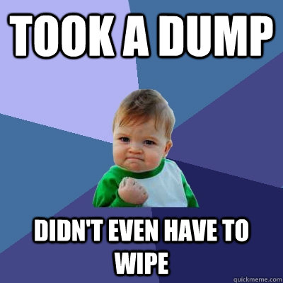 Took A Dump Didn't Even Have to wipe  Success Kid