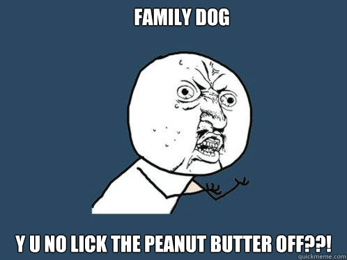 family dog y u no lick the peanut butter off??!  Y U No