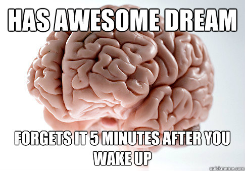 Has awesome dream forgets it 5 minutes after you wake up  Scumbag Brain