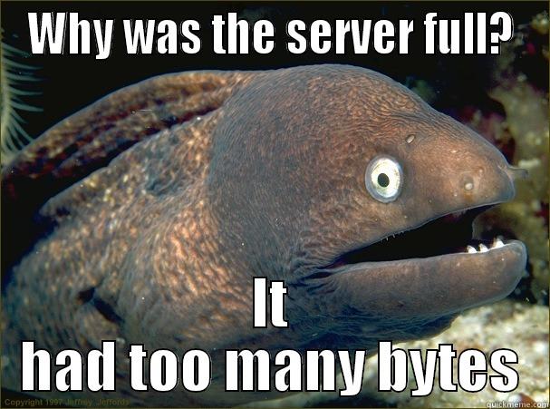 Full server - WHY WAS THE SERVER FULL? IT HAD TOO MANY BYTES Bad Joke Eel