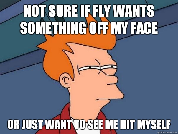 Not sure if fly wants something off my face or just want to see me hit myself - Not sure if fly wants something off my face or just want to see me hit myself  Futurama Fry