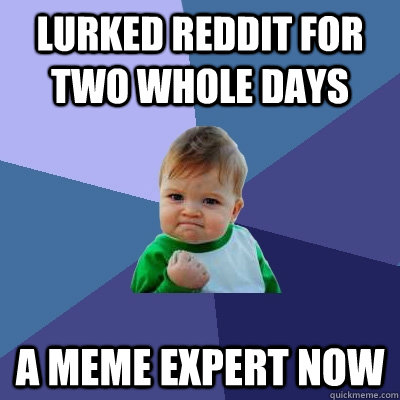 lurked reddit for two whole days a meme expert now - lurked reddit for two whole days a meme expert now  Success Kid