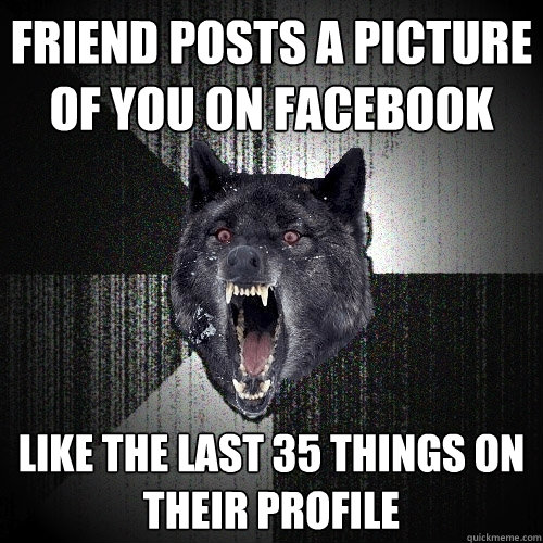 friend posts a picture of you on facebook like the last 35 things on their profile  Insanity Wolf