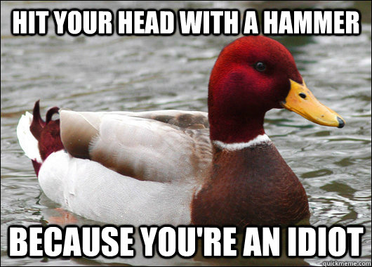 Hit your head with a hammer because you're an idiot - Hit your head with a hammer because you're an idiot  Malicious Advice Mallard