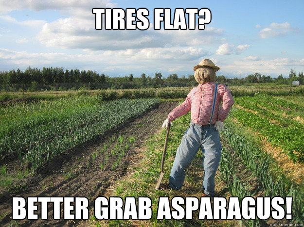 Tires flat? Better grab asparagus!  Scarecrow