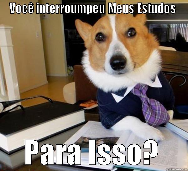 VOCÊ INTERROUMPEU MEUS ESTUDOS PARA ISSO? Lawyer Dog