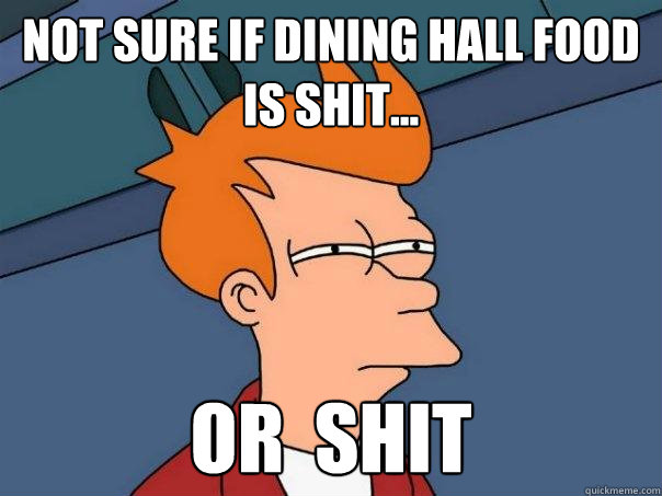 Not sure if Dining Hall food is shit... or  shit  Futurama Fry