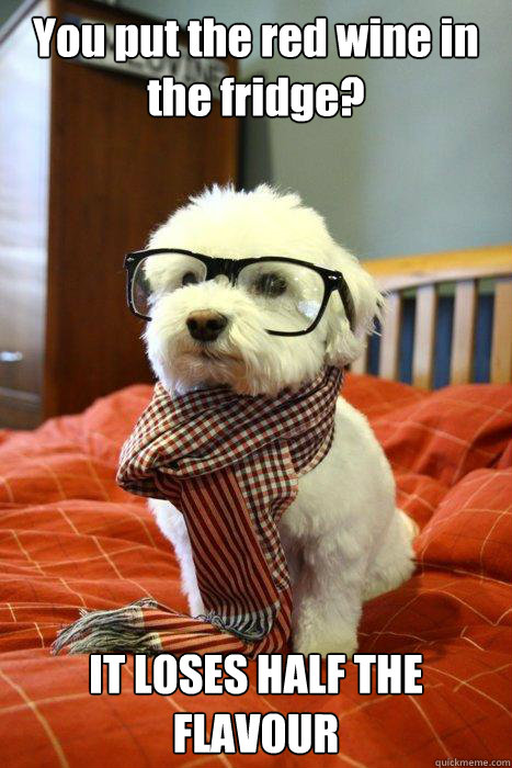 You put the red wine in the fridge? IT LOSES HALF THE FLAVOUR  Hipster Dog