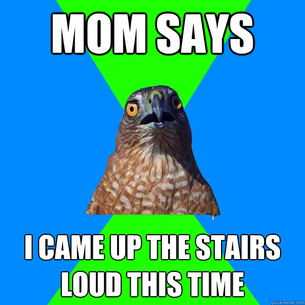 Mom says I came up the stairs loud this time  Hawkward