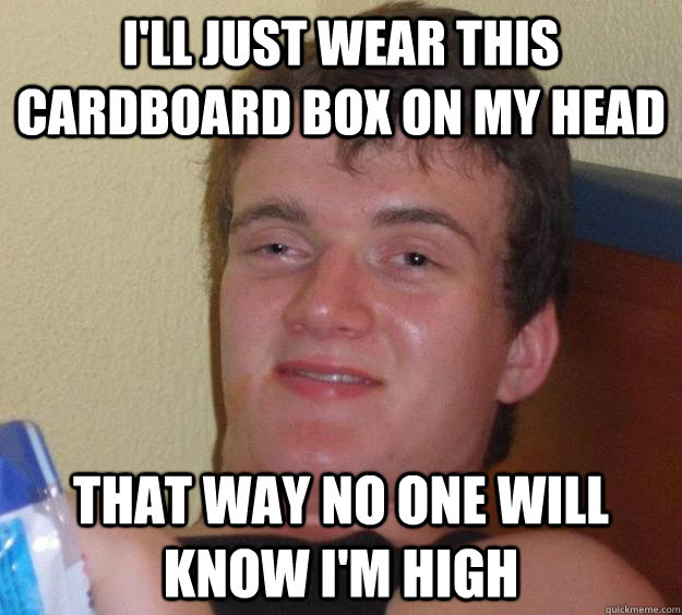 I'll just wear this cardboard box on my head that way no one will know I'm high - I'll just wear this cardboard box on my head that way no one will know I'm high  10 Guy