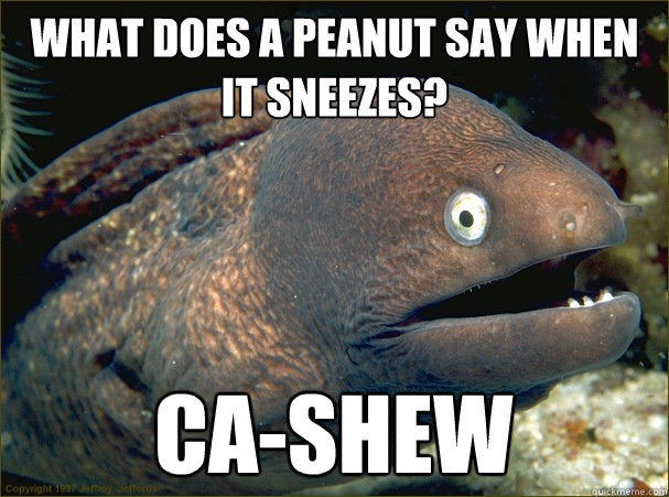 What does a peanut say when it sneezes? ca-shew  Bad Joke Eel