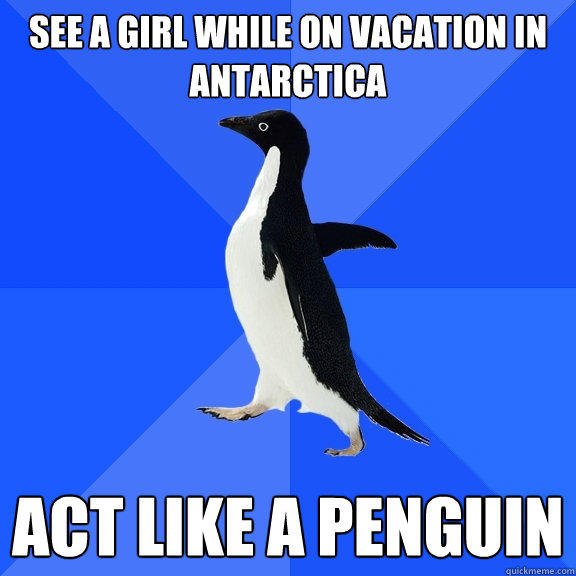 See a girl while on vacation in Antarctica  act like a penguin - See a girl while on vacation in Antarctica  act like a penguin  Socially Awkward Penguin