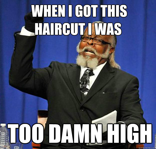  when i got this haircut i was  too damn high -  when i got this haircut i was  too damn high  Jimmy McMillan