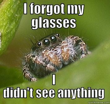 I FORGOT MY GLASSES I DIDN'T SEE ANYTHING Misunderstood Spider