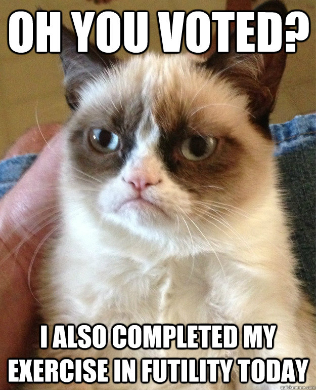 Oh you voted? I also completed my exercise in futility today  Grumpy Cat