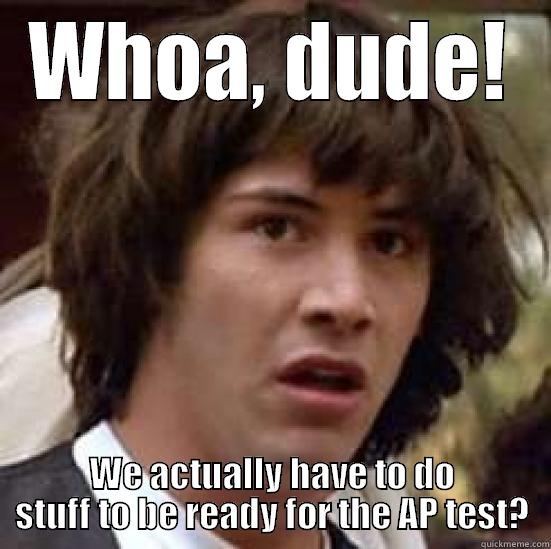 Computer frustration pic - WHOA, DUDE! WE ACTUALLY HAVE TO DO STUFF TO BE READY FOR THE AP TEST? conspiracy keanu