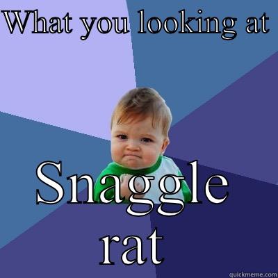 WHAT YOU LOOKING AT  SNAGGLE RAT Success Kid