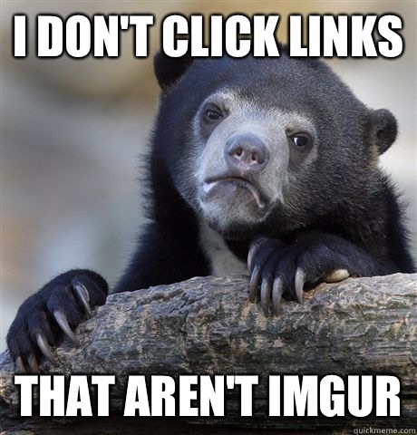 I don't click links That aren't imgur  Confession Bear