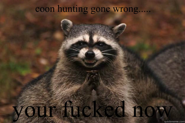 coon hunting gone wrong..... your fucked now  - coon hunting gone wrong..... your fucked now   Evil Plotting Raccoon