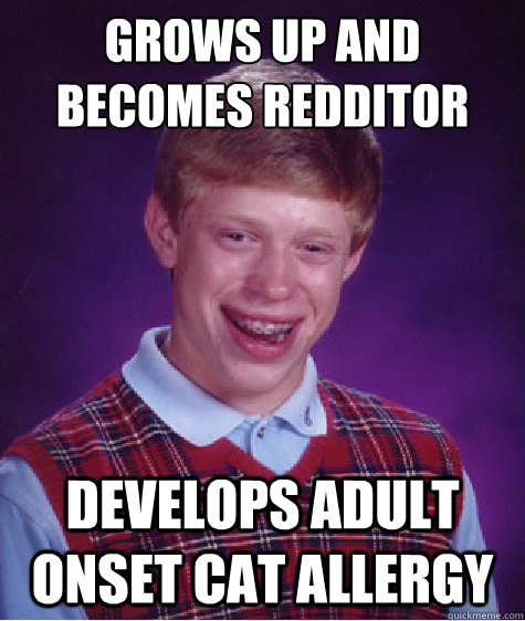 grows up and becomes redditor develops adult onset cat allergy  Bad Luck Brian