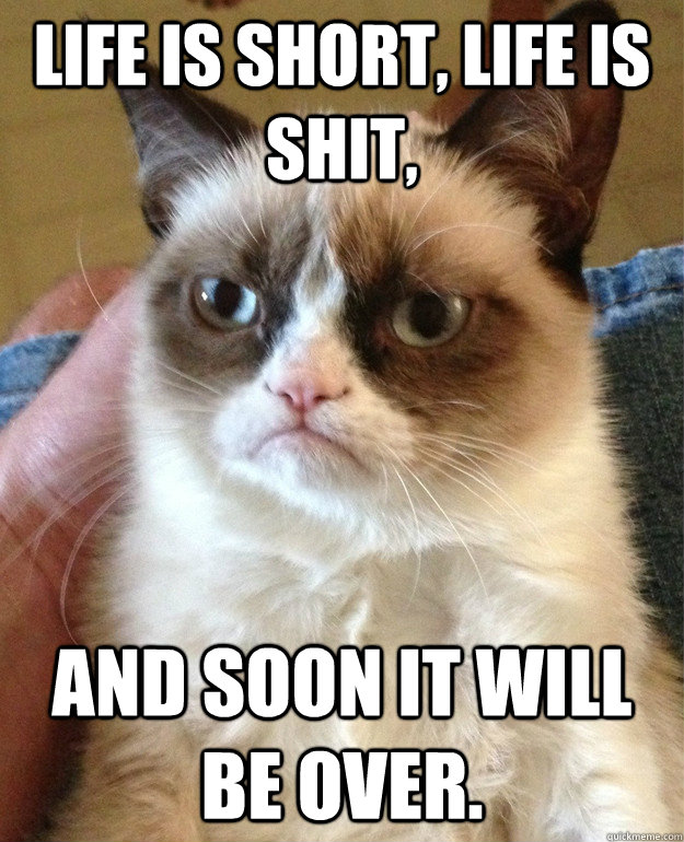 Life is short, life is shit, and soon it will be over.  Grumpy Cat