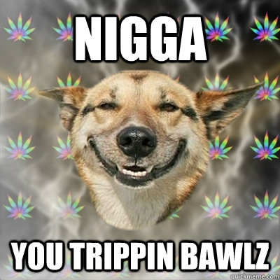 NIGGA YOU TRIPPIN BAWLZ  Stoner Dog