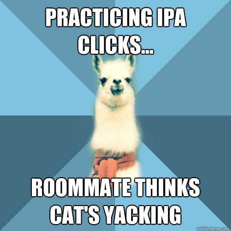 Practicing IPA clicks... Roommate thinks cat's yacking  Linguist Llama